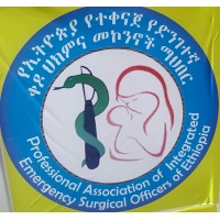 Professional Association of Emergency Surgery Officers of Ethiopia logo - Similar company to Saint Gabriel General Hospital
