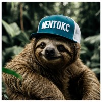 mentokc logo - Similar company to Compalgo Labs