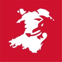 Dragon LNG and Dragon Energy logo - Similar company to Vtti