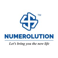 Numerolution1 logo - Similar company to E2 Solutions ✔