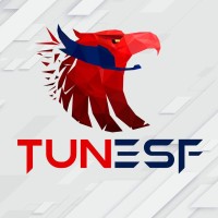 Tunisian Esports Federation logo - Similar company to Gamefy