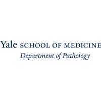 Yale Pathology logo - Similar company to Emory Pathology