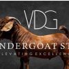 Vandergoat Kalahari Red & Boer Goat Stud logo - Similar company to Sheep & Goat Farmers Association Of Nigeria