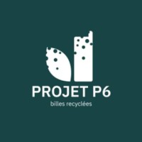 Projet P6 logo - Similar company to Enactus Hec Montréal