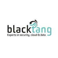 Blacktang B.V. logo - Similar company to Empre Technologies
