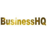Businesshq.co.ke logo - Similar company to Amicus Wellness Flags