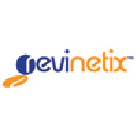 Revinetix, Inc.