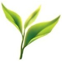 The Ceylon Tea logo - Similar company to Ceylumin