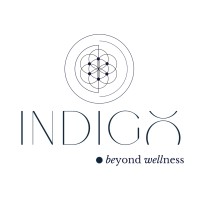 Indigo Wellness Group logo - Similar company to Rapid Rewire Method