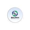 BCRH Consulting logo - Similar company to Tecgraf