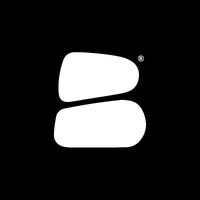 Bishvili Innovation Group Inc. logo - Similar company to Sunay Import Export
