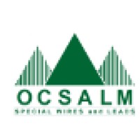 OCSALM Special Wires and Leads Srl logo - Similar company to Risatti Instruments Srl