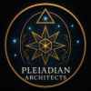 Pleiadian Architects logo - Similar company to Bravus Design