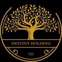 Destiny Holding logo - Similar company to Dynasty Management Group (Dmg)