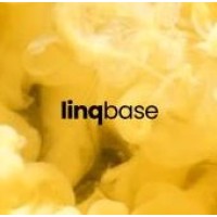 Linqbase All-In-One Software logo - Similar company to Datafiniti