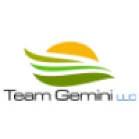 Team Gemini Llc