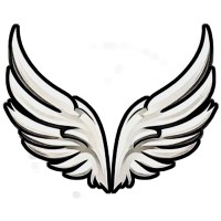 Icarus Groups - The clean energy company logo - Similar company to Branjotech
