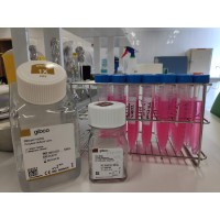 Técnicos Especialistas en Cultivos Celulares logo - Similar company to Cell Culture Technologies Llc