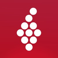 Vivino logo - Similar company to Riedel - The Wine Glass Company