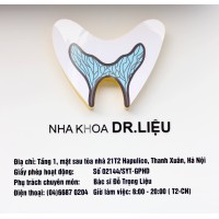 nhakhoadrlieu.vn logo - Similar company to Namsaigon International Hospital - Nih