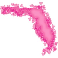 Dense Breast Ultrasound logo - Similar company to Herscan