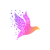 The Manifestor'S Guide