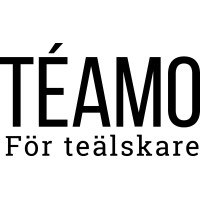 Téamo logo - Similar company to Flowby