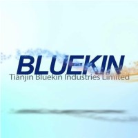 Tianjin Bluekin Industries Limited logo - Similar company to Tianjin Bluekin Industries Limited