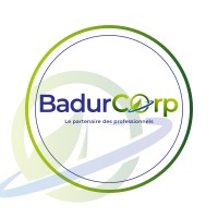 Badurcorp logo - Similar company to Golden Age Mining Solutions Sàrl