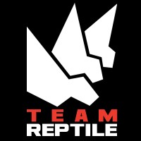 Team Reptile logo - Similar company to Runic Games, Inc.