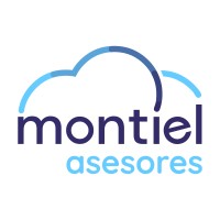 Montiel Asesores logo - Similar company to Asesoría Aseinor