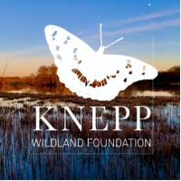 Knepp Wildland Foundation logo - Similar company to Accelar Limited