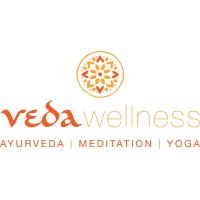 Veda Wellness logo - Similar company to Bds Support Services