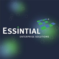 Essintial Enterprise Solutions logo - Similar company to Psd