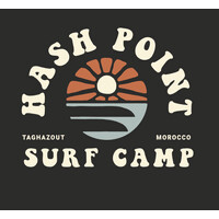Hashpoint Surf Camp logo - Similar company to Blue Waves Group