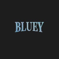 Bluey Events logo - Similar company to Turnsolar