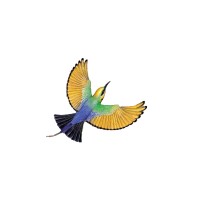 Mineright logo - Similar company to Minegear