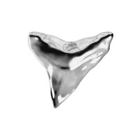 Silver Tooth logo - Similar company to Febatis Studio