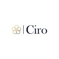 Ciro logo - Similar company to Triangle Partners S.A./N.V.