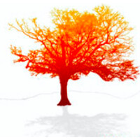 Burning Tree TV logo - Similar company to Prophetic Technology