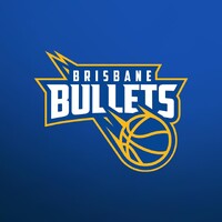 Brisbane Bullets Basketball Club logo - Similar company to Gameabove