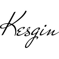 Kesgin logo - Similar company to Kesgin Holding