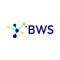 Be Wireless Solutions logo - Similar company to Cla-Val