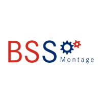 BSS Montage GmbH logo - Similar company to Iceberg Gmbh