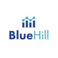 BlueHill Insights logo - Similar company to Rewired Technologies