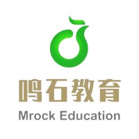 Mrock Education logo - Similar company to Idigitalsky ~ Skygems Academy (Idigitalsky Group)