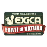 Exica logo - Similar company to Logifer