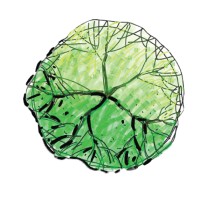 Creative Process Bangi logo - Similar company to Muuks Tree Sdn Bhd