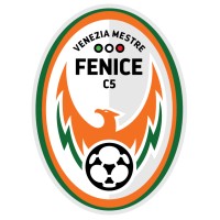 Fenice VeneziaMestre logo - Similar company to Fipav Cr Veneto