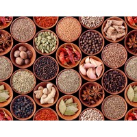 LINYI YIYUAN FOOD CO.,LTD logo - Similar company to Qingdao Pengdu Group